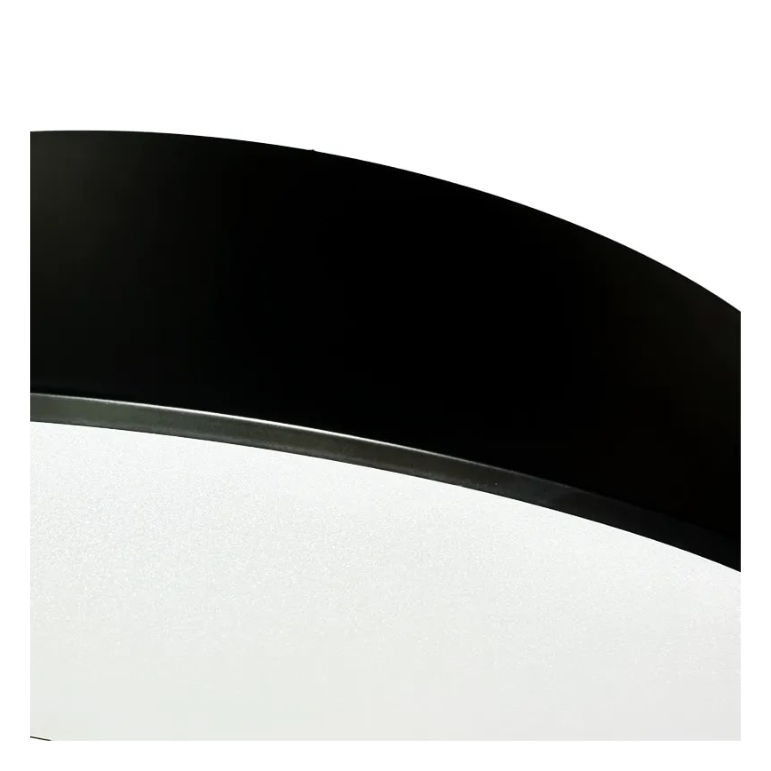 LED Prigušivi luster na sajli LED/50W/230V 3000-6500K crno + Daljinski upravljač