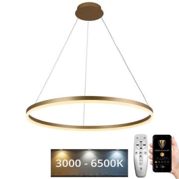 LED Prigušivi luster na sajli LED/55W/230V 3000-6500K + Daljinski upravljač
