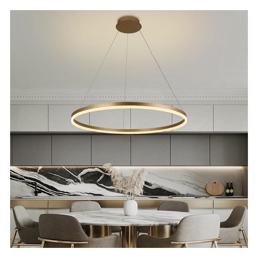 LED Prigušivi luster na sajli LED/55W/230V 3000-6500K + daljinski upravljač