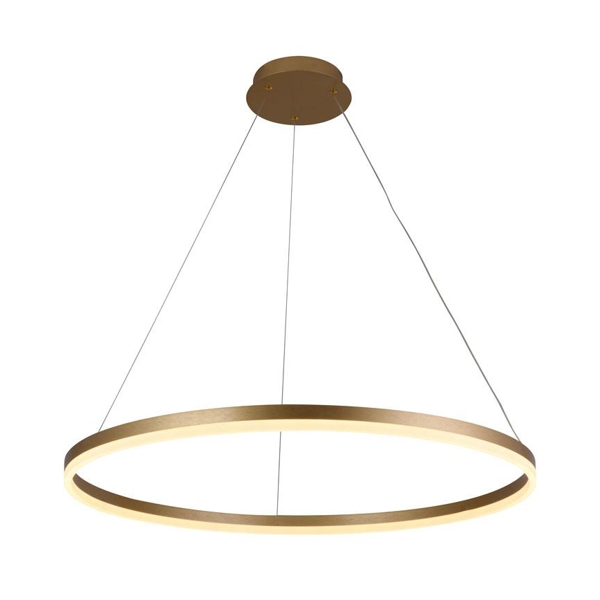 LED Prigušivi luster na sajli LED/55W/230V 3000-6500K + daljinski upravljač