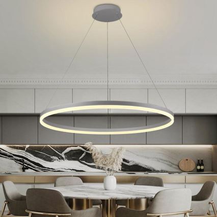LED Prigušivi luster na sajli LED/55W/230V 3000-6500K pr. 80 cm + Daljinski upravljač