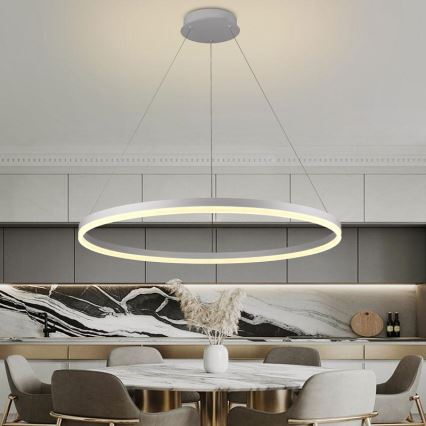 LED Prigušivi luster na sajli LED/55W/230V 3000-6500K pr. 80 cm + Daljinski upravljač