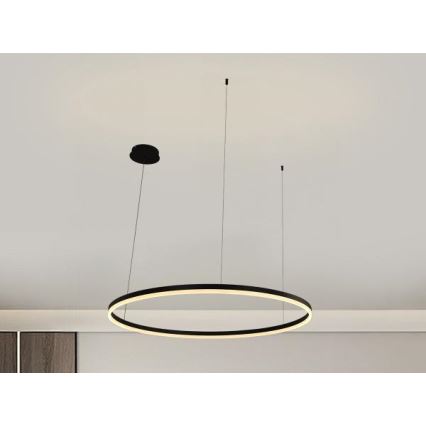 LED Prigušivi luster na sajli LED/55W/230V 3000-6500K pr. 80 cm + Daljinski upravljač