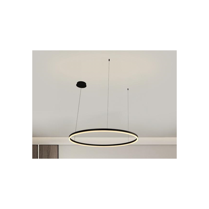 LED Prigušivi luster na sajli LED/55W/230V 3000-6500K pr. 80 cm + Daljinski upravljač