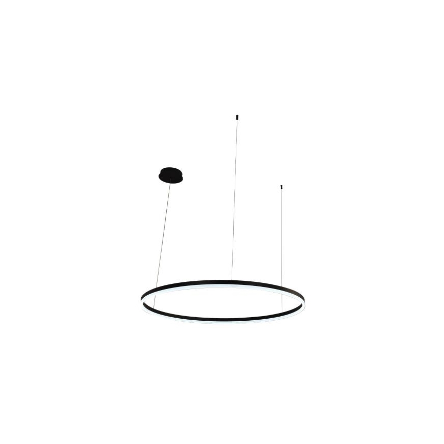 LED Prigušivi luster na sajli LED/55W/230V 3000-6500K pr. 80 cm + Daljinski upravljač