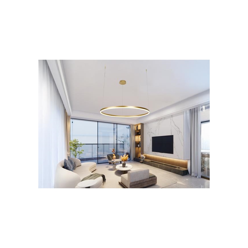 LED Prigušivi luster na sajli LED/55W/230V 3000-6500K pr. 80 cm + Daljinski upravljač