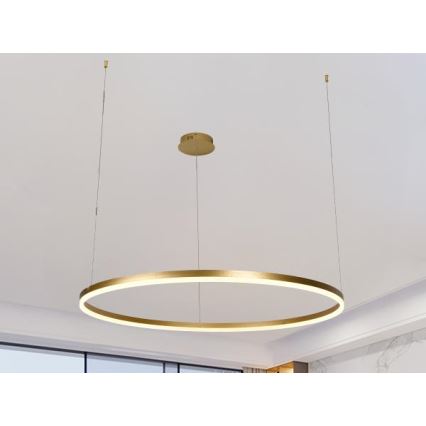 LED Prigušivi luster na sajli LED/55W/230V 3000-6500K pr. 80 cm + Daljinski upravljač