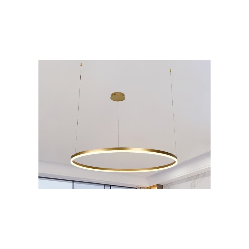 LED Prigušivi luster na sajli LED/55W/230V 3000-6500K pr. 80 cm + Daljinski upravljač