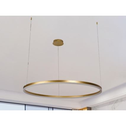 LED Prigušivi luster na sajli LED/55W/230V 3000-6500K pr. 80 cm + Daljinski upravljač
