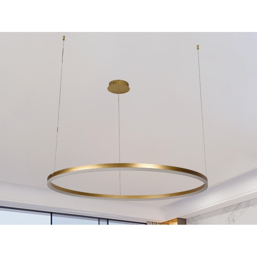 LED Prigušivi luster na sajli LED/55W/230V 3000-6500K pr. 80 cm + Daljinski upravljač