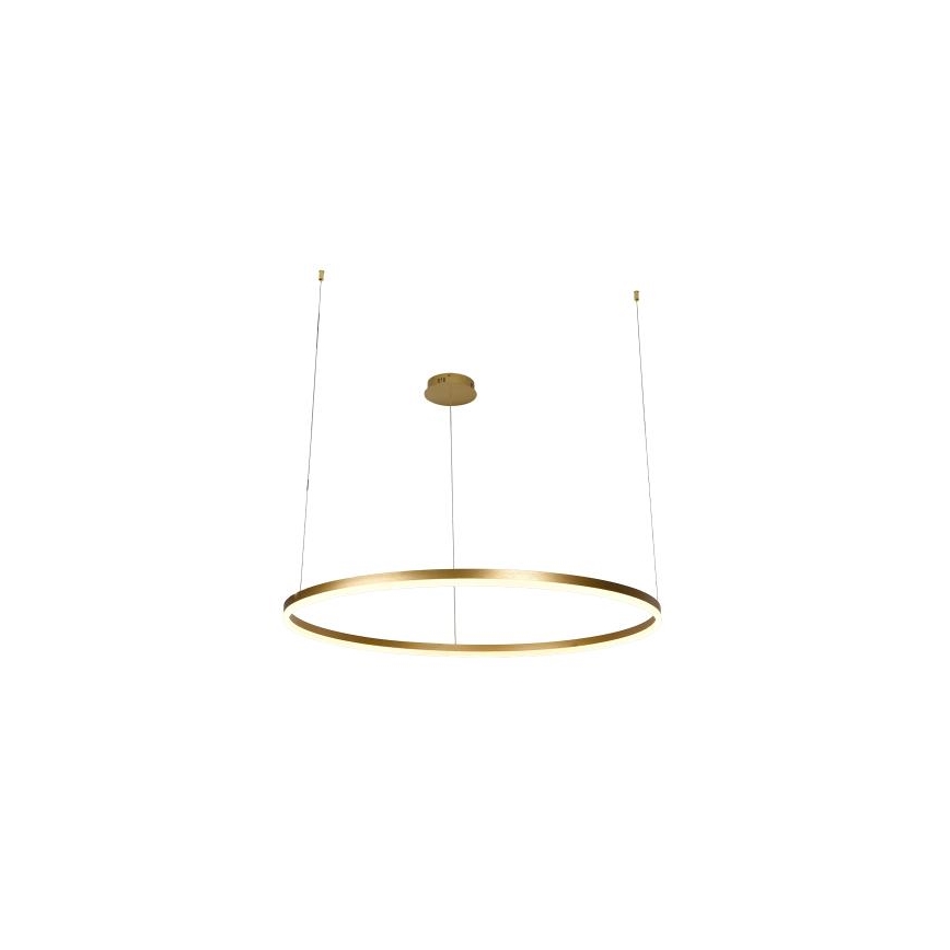 LED Prigušivi luster na sajli LED/55W/230V 3000-6500K pr. 80 cm + Daljinski upravljač