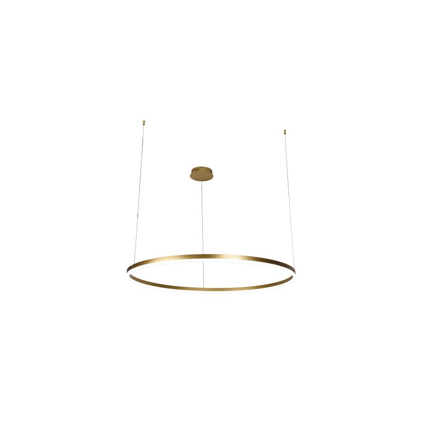 LED Prigušivi luster na sajli LED/55W/230V 3000-6500K pr. 80 cm + Daljinski upravljač