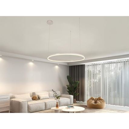 LED Prigušivi luster na sajli LED/55W/230V 3000-6500K pr. 80 cm + Daljinski upravljač