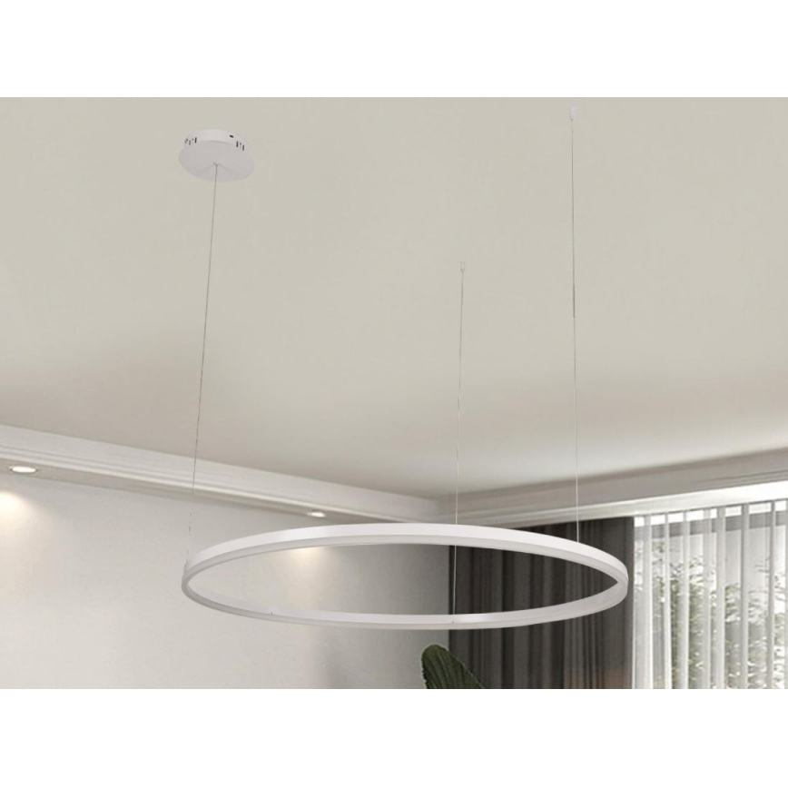 LED Prigušivi luster na sajli LED/55W/230V 3000-6500K pr. 80 cm + Daljinski upravljač