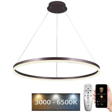 LED Prigušivi luster na sajli LED/55W/230V 3000-6500K pr. 80 cm + Daljinski upravljač