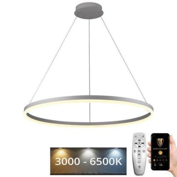 LED Prigušivi luster na sajli LED/55W/230V 3000-6500K pr. 80 cm + Daljinski upravljač