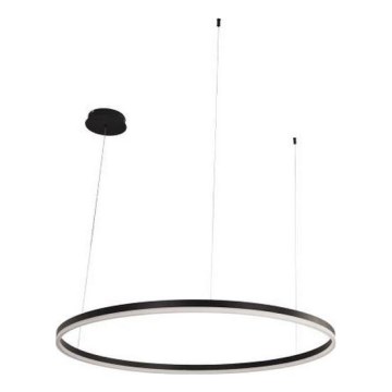 LED Prigušivi luster na sajli LED/55W/230V 3000-6500K pr. 80 cm + Daljinski upravljač