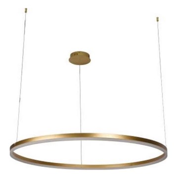 LED Prigušivi luster na sajli LED/55W/230V 3000-6500K pr. 80 cm + Daljinski upravljač