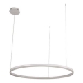 LED Prigušivi luster na sajli LED/55W/230V 3000-6500K pr. 80 cm + Daljinski upravljač