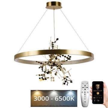 LED Prigušivi luster na sajli LED/55W/230V 3000-6500K zlatna + Daljinski upravljač