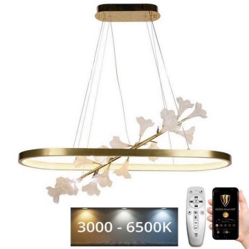 LED Prigušivi luster na sajli LED/65W/230V 3000-6500K + Daljinski upravljač