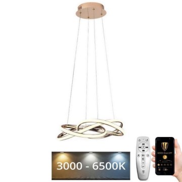 LED Prigušivi luster na sajli LED/65W/230V 3000-6500K zlatna + Daljinski upravljač