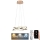 LED Prigušivi luster na sajli LED/65W/230V 3000-6500K zlatna + Daljinski upravljač