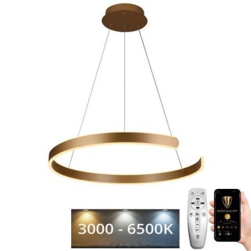 LED Prigušivi luster na sajli LED/70W/230V 3000-6500K + Daljinski upravljač