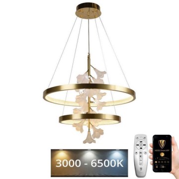 LED Prigušivi luster na sajli LED/70W/230V 3000-6500K + Daljinski upravljač