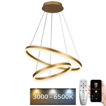 LED Prigušivi luster na sajli LED/70W/230V 3000-6500K pr. 60 cm + Daljinski upravljač