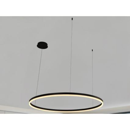 LED Prigušivi luster na sajli LED/72W/230V 3000-6500K pr. 100 cm + Daljinski upravljač