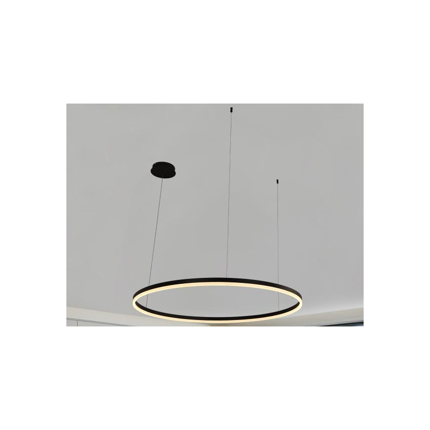 LED Prigušivi luster na sajli LED/72W/230V 3000-6500K pr. 100 cm + Daljinski upravljač