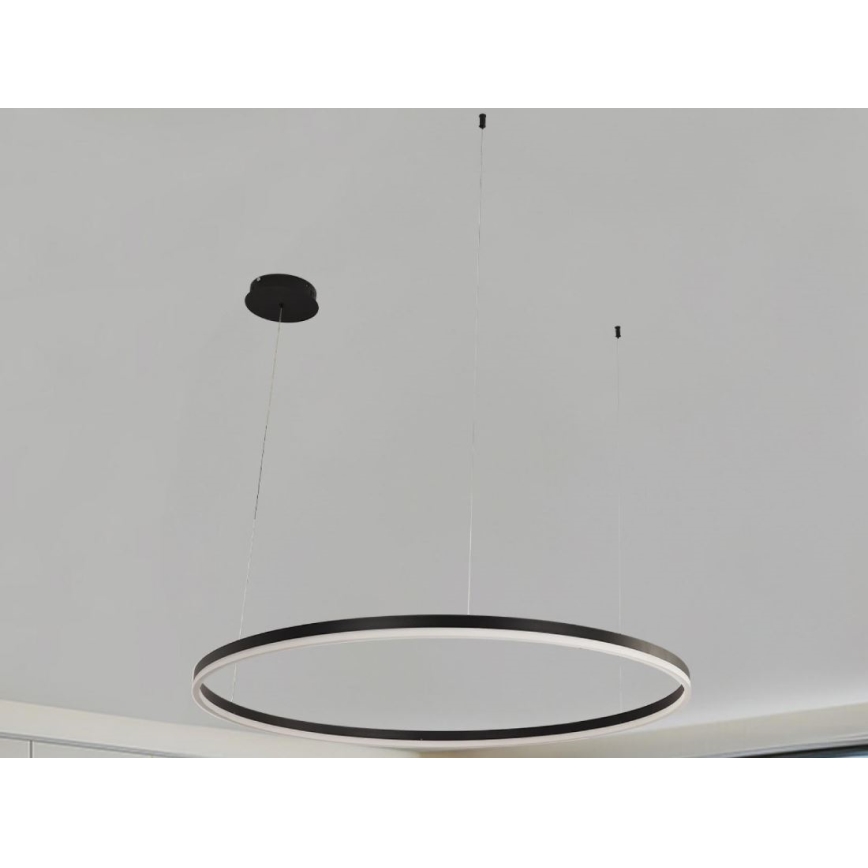 LED Prigušivi luster na sajli LED/72W/230V 3000-6500K pr. 100 cm + Daljinski upravljač
