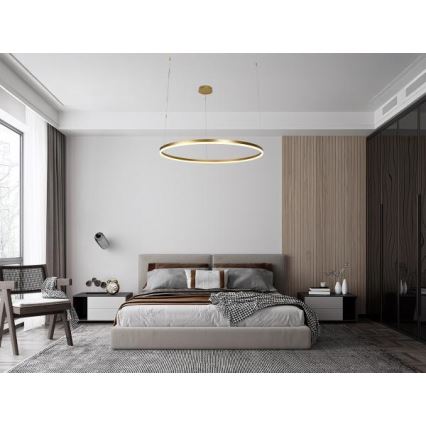 LED Prigušivi luster na sajli LED/72W/230V 3000-6500K pr. 100 cm + Daljinski upravljač