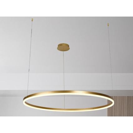 LED Prigušivi luster na sajli LED/72W/230V 3000-6500K pr. 100 cm + Daljinski upravljač