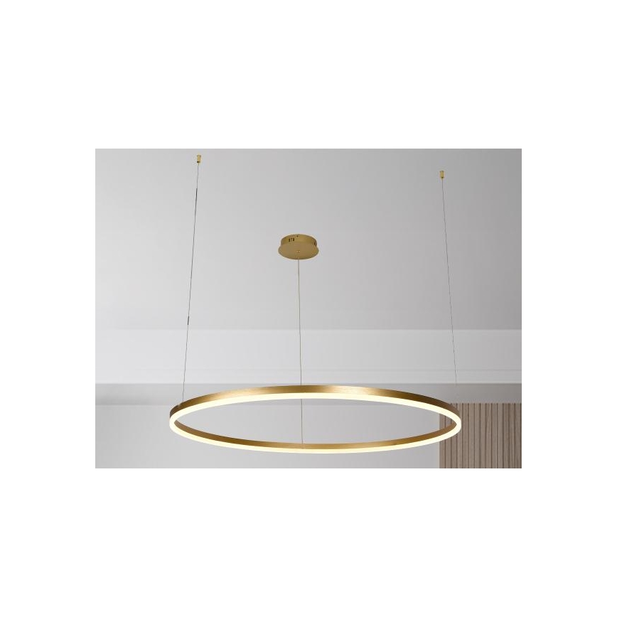 LED Prigušivi luster na sajli LED/72W/230V 3000-6500K pr. 100 cm + Daljinski upravljač