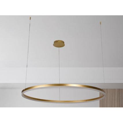 LED Prigušivi luster na sajli LED/72W/230V 3000-6500K pr. 100 cm + Daljinski upravljač