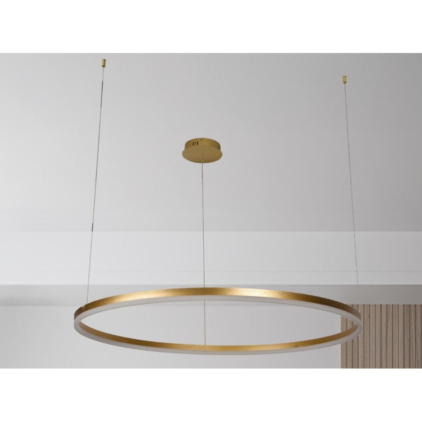 LED Prigušivi luster na sajli LED/72W/230V 3000-6500K pr. 100 cm + Daljinski upravljač
