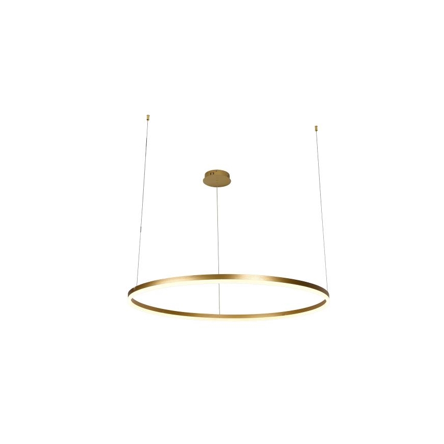 LED Prigušivi luster na sajli LED/72W/230V 3000-6500K pr. 100 cm + Daljinski upravljač