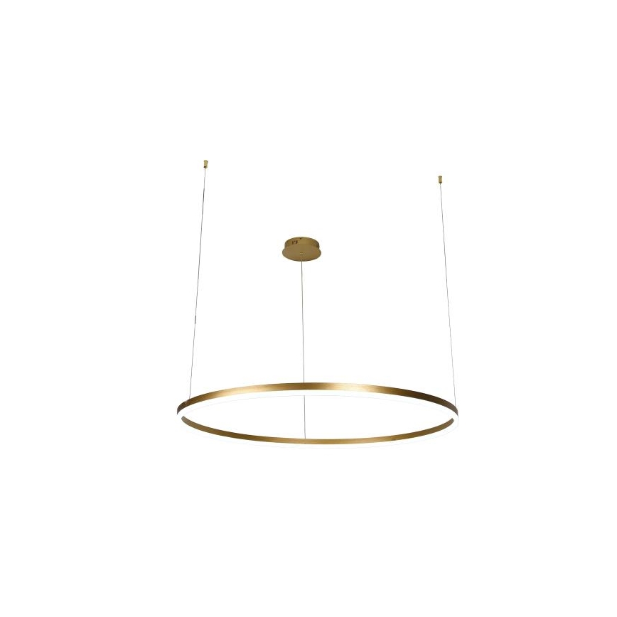 LED Prigušivi luster na sajli LED/72W/230V 3000-6500K pr. 100 cm + Daljinski upravljač