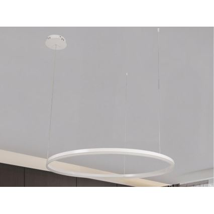 LED Prigušivi luster na sajli LED/72W/230V 3000-6500K pr. 100 cm + Daljinski upravljač