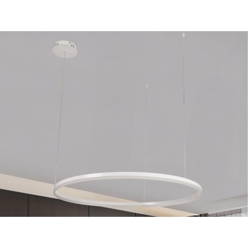 LED Prigušivi luster na sajli LED/72W/230V 3000-6500K pr. 100 cm + Daljinski upravljač
