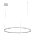 LED Prigušivi luster na sajli LED/72W/230V 3000-6500K pr. 100 cm + Daljinski upravljač