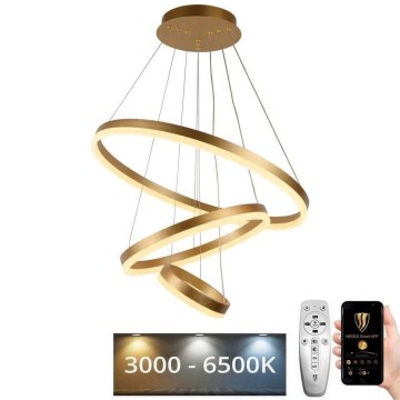 LED Prigušivi luster na sajli LED/85W/230V 3000-6500K pr. 60 cm + Daljinski upravljač