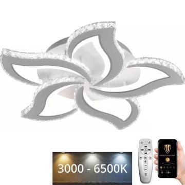 LED Prigušivi nadgradni luster LED/100W/230V 3000-6500K + Daljinski upravljač