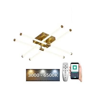 LED Prigušivi nadgradni luster LED/30W/230V 3000-6500K + Daljinski upravljač