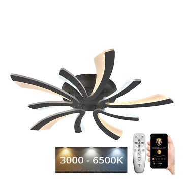 LED Prigušivi nadgradni luster LED/55W/230V 3000-6500K + Daljinski upravljač
