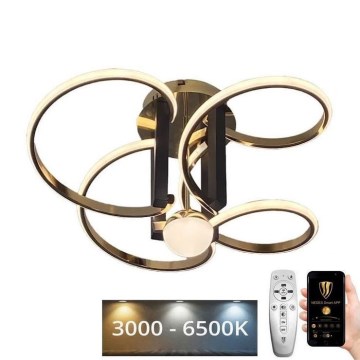 LED Prigušivi nadgradni luster LED/80W/230V 3000-6500K + Daljinski upravljač