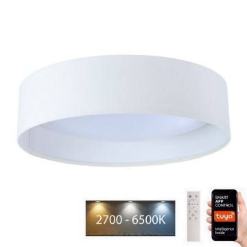 LED Prigušivo svetlo SMART GALAXY LED/24W/230V pr. 45 cm Wi-Fi Tuya + Daljinski upravljač
