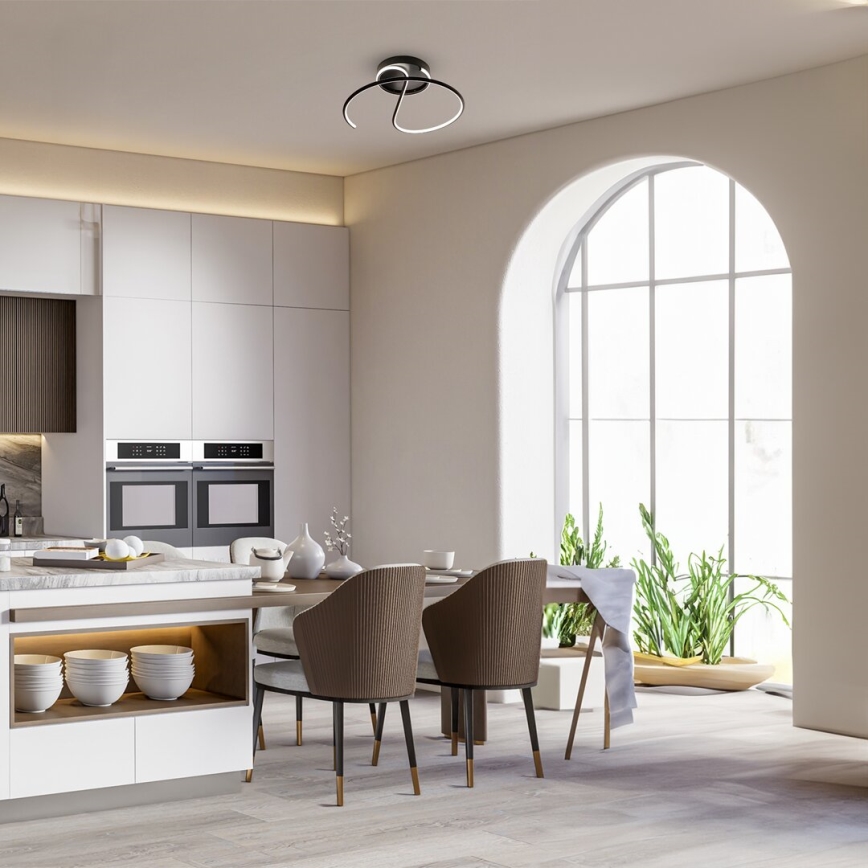 LED prislonjen plafonski luster DELTA LED/30W/230V crna